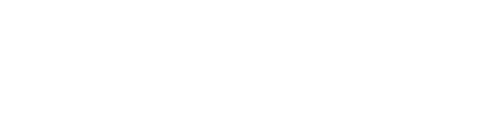 VISIUM